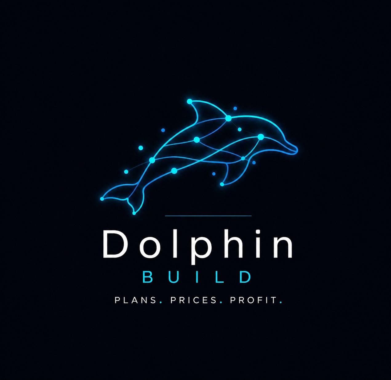 Dolphin Build